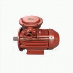 YB3 Series Flameproof Three-phase Asynchronous Motor