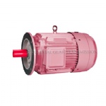YE3 Series Three Phase Asynchronous Motor With Flange